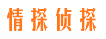 崇安市私家侦探